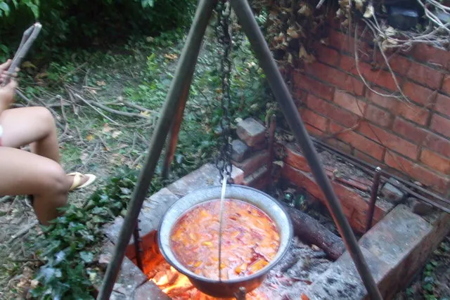 Hittan tábor