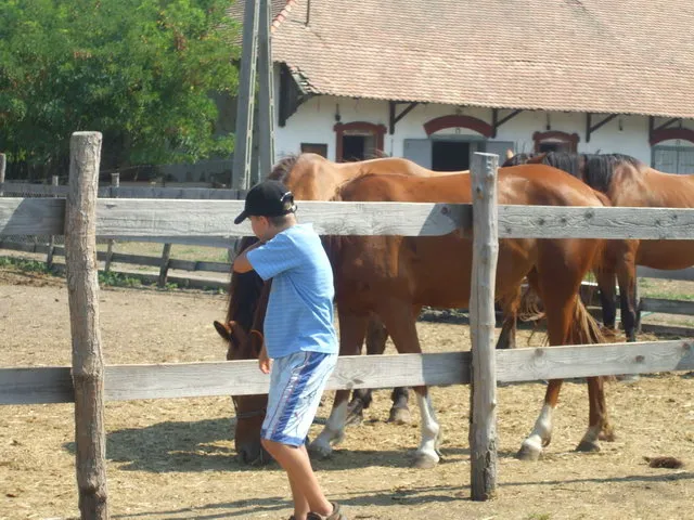 Hittan tábor