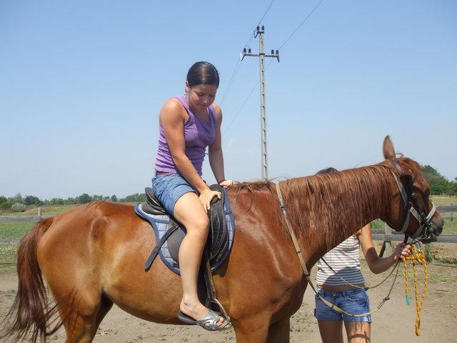 Hittan tábor