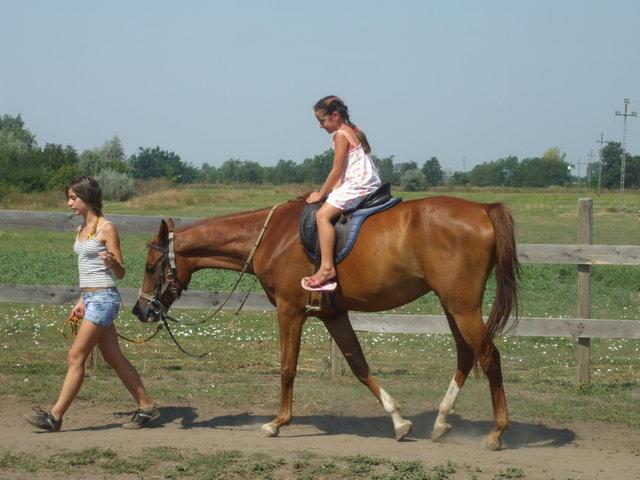 Hittan tábor