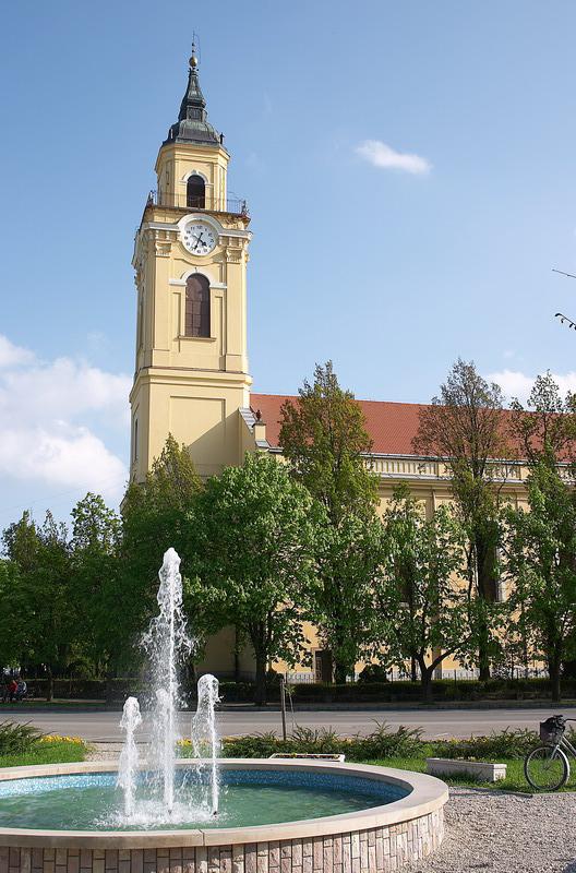 A Református egyház képekben