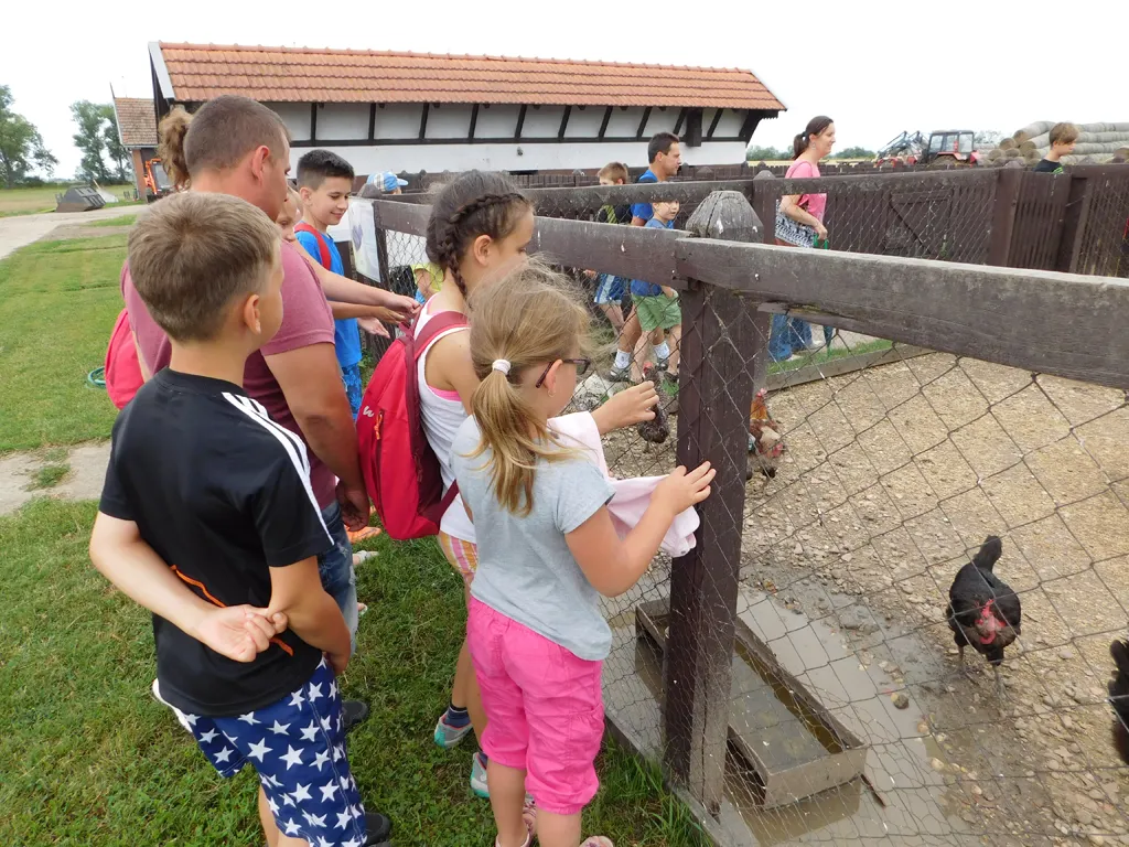 Építkezz okosan - nyári gyermektábor 2016