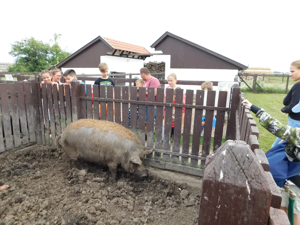 Építkezz okosan - nyári gyermektábor 2016