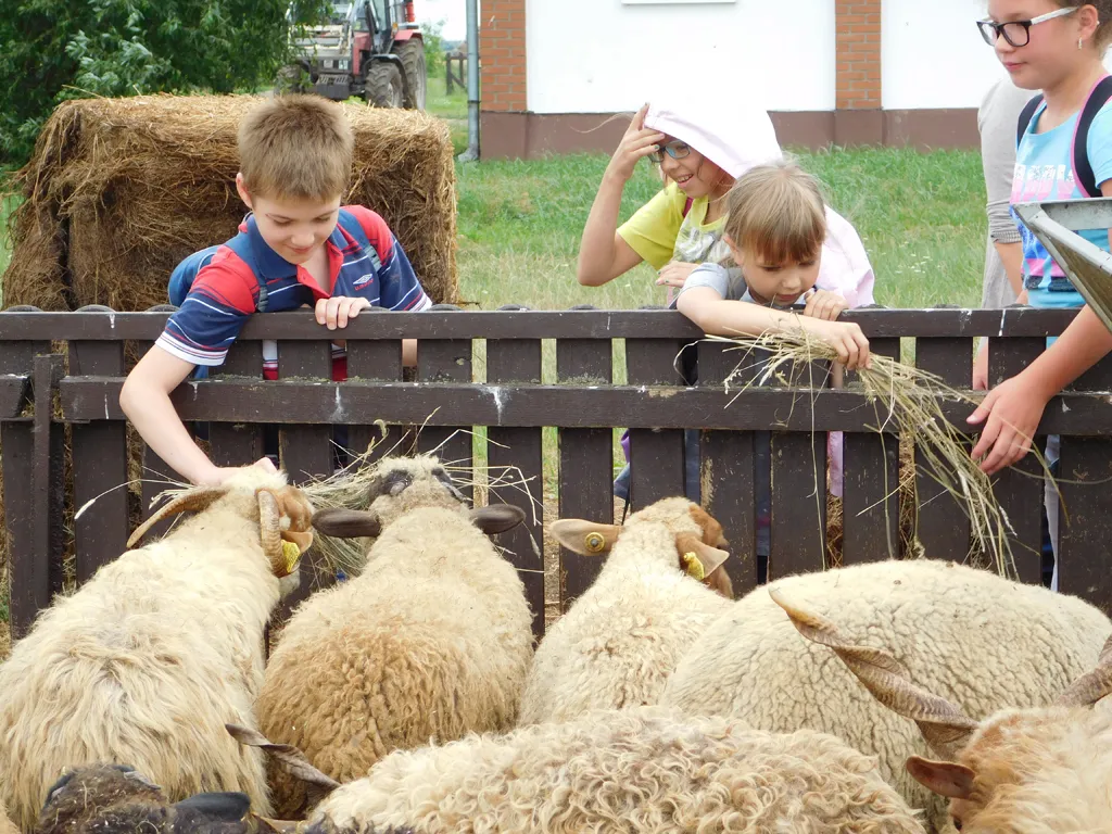 Építkezz okosan - nyári gyermektábor 2016