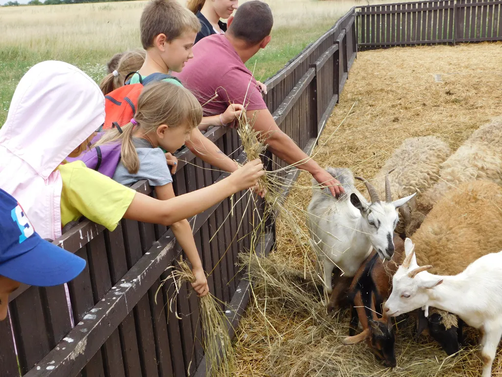 Építkezz okosan - nyári gyermektábor 2016