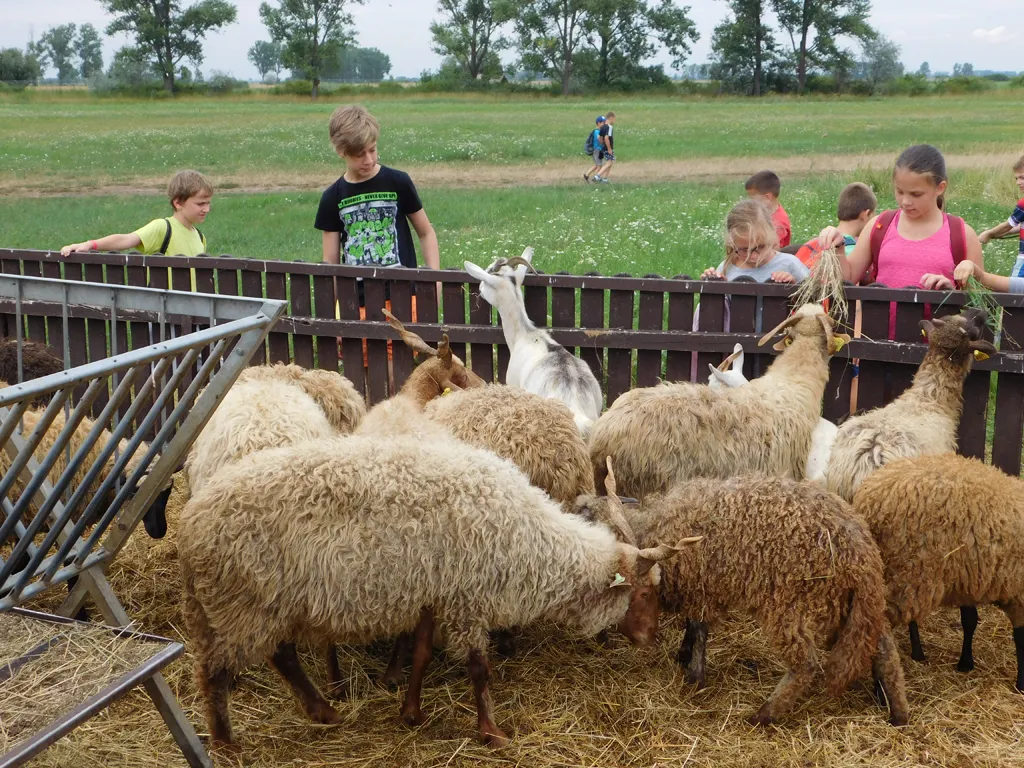 Építkezz okosan - nyári gyermektábor 2016