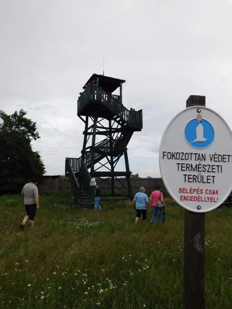 Építkezz okosan - nyári gyermektábor 2016