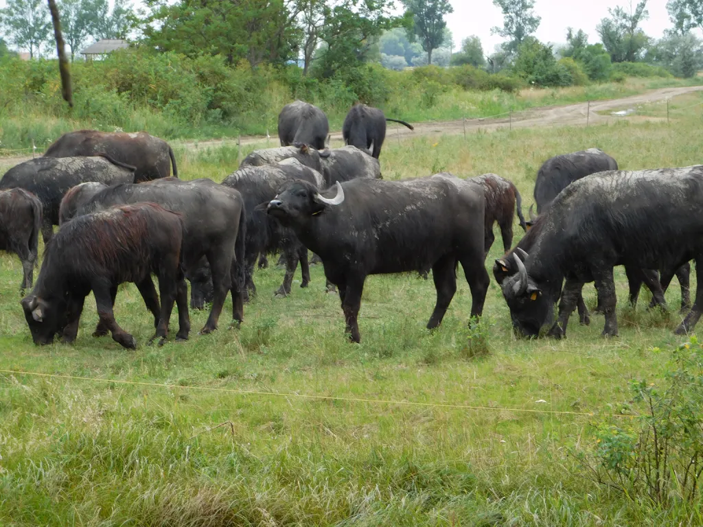 Építkezz okosan - nyári gyermektábor 2016