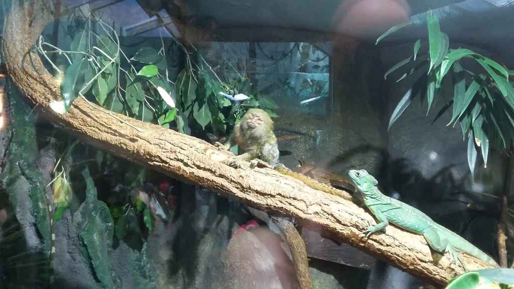 Gyermeknapi családos kirándulás a Tropicariumba