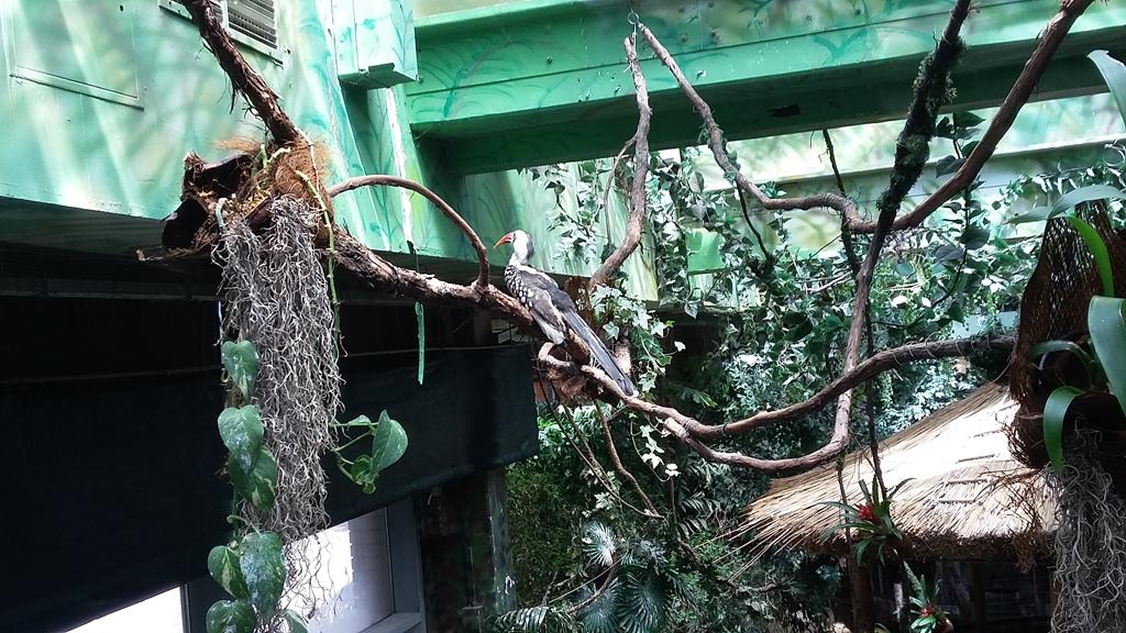 Gyermeknapi családos kirándulás a Tropicariumba