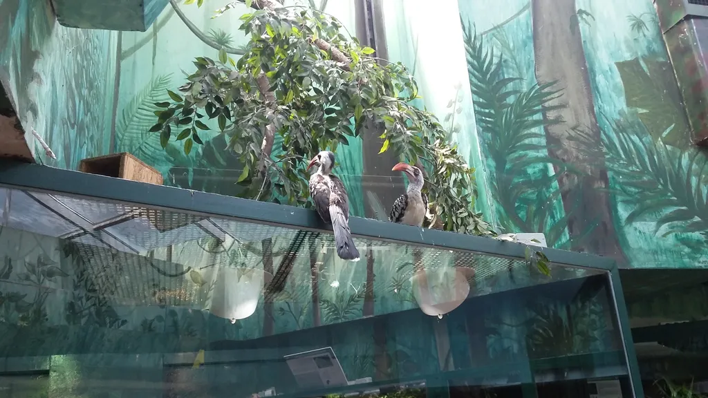 Gyermeknapi családos kirándulás a Tropicariumba
