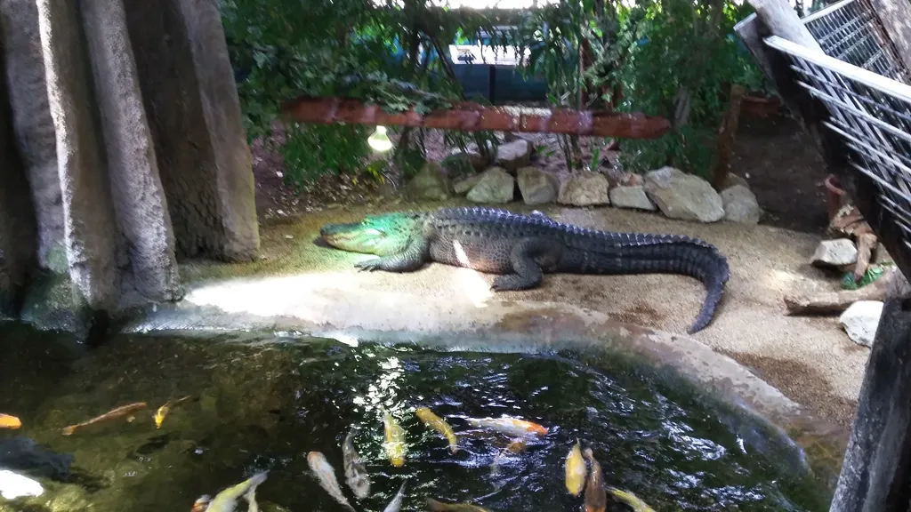 Gyermeknapi családos kirándulás a Tropicariumba