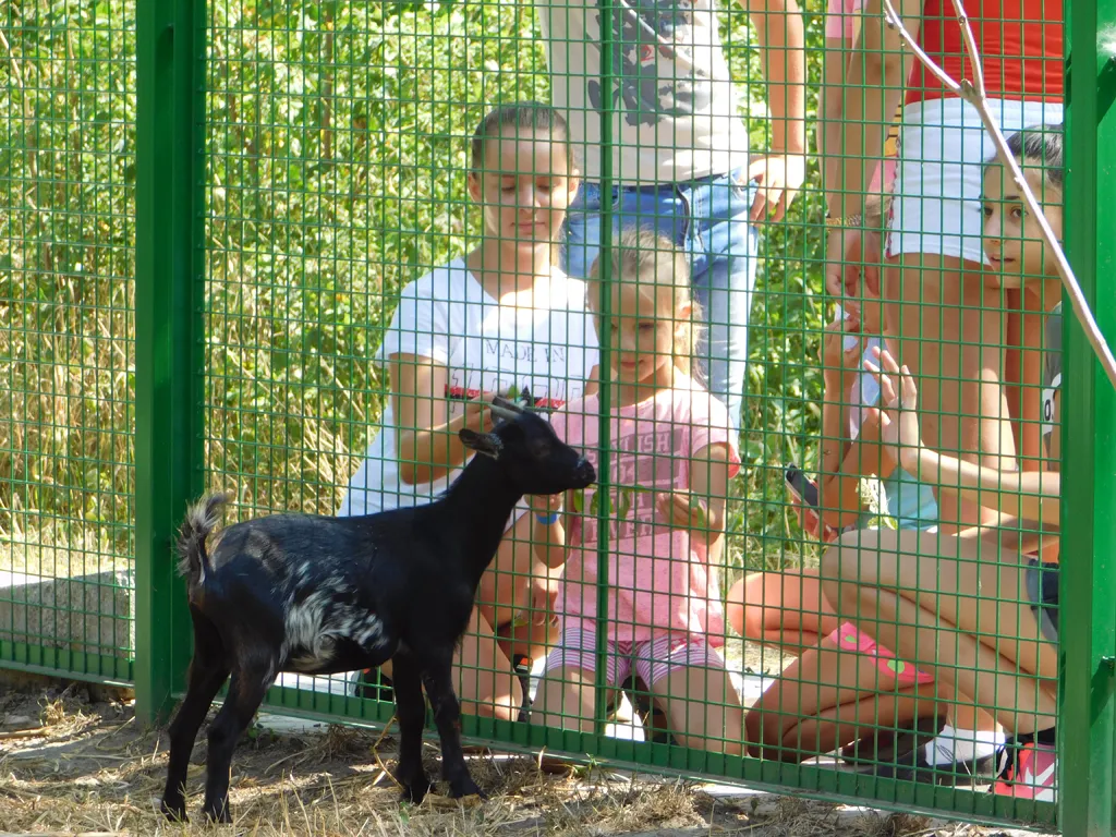 Napközis hittantábor 2018 - 3. nap