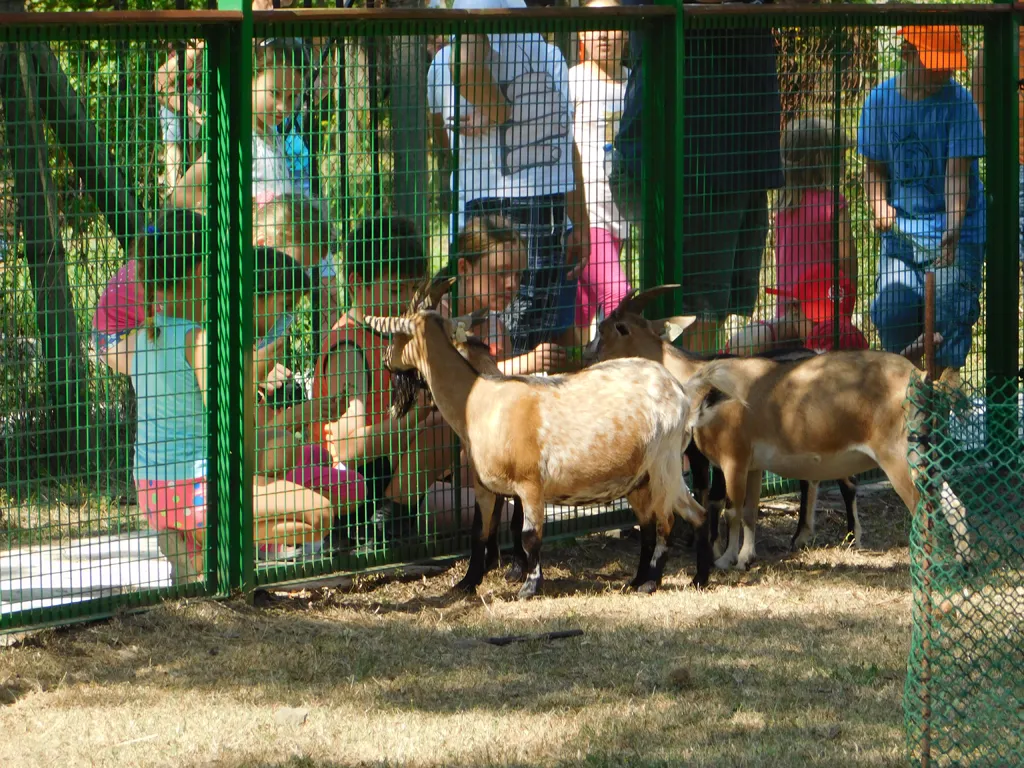 Napközis hittantábor 2018 - 3. nap