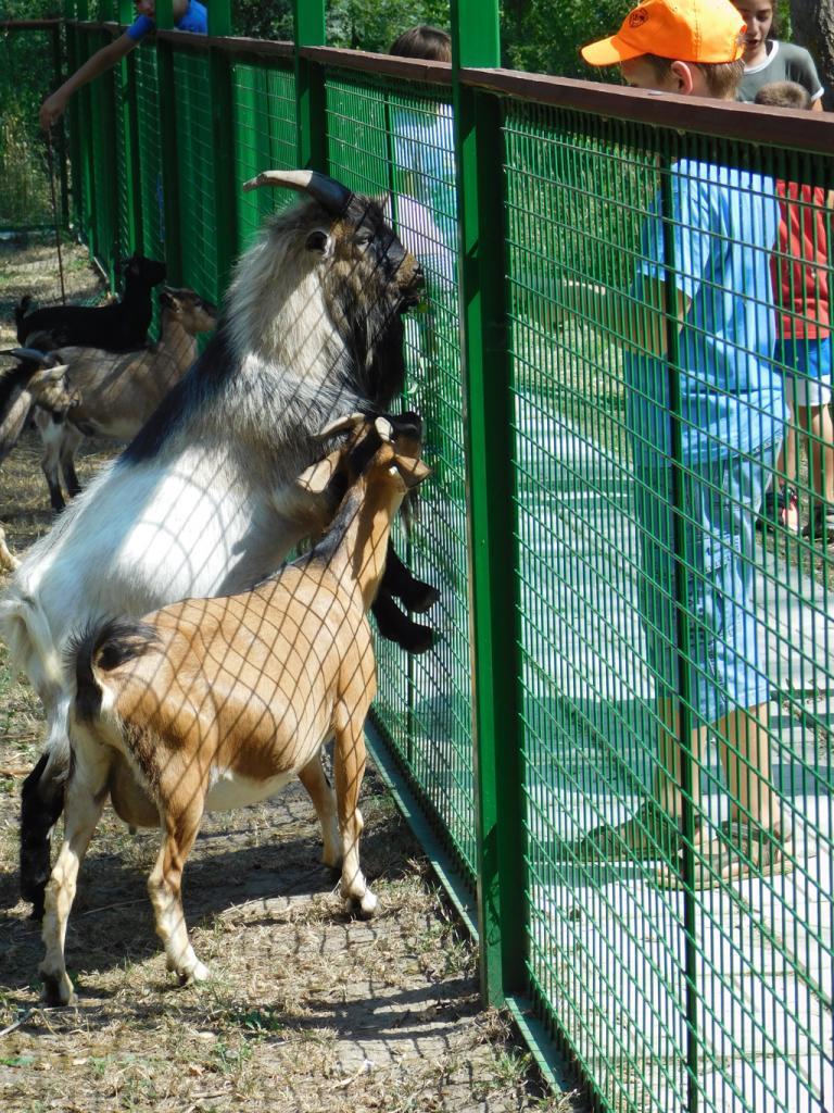 Napközis hittantábor 2018 - 3. nap