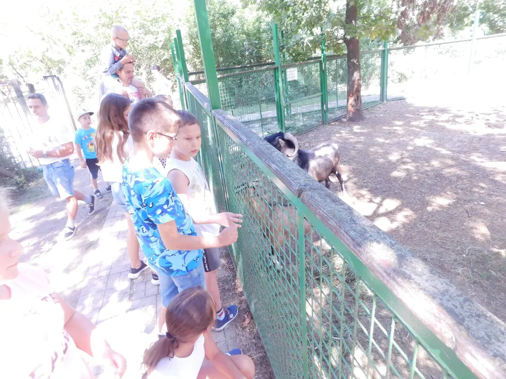 hittantabor_2023