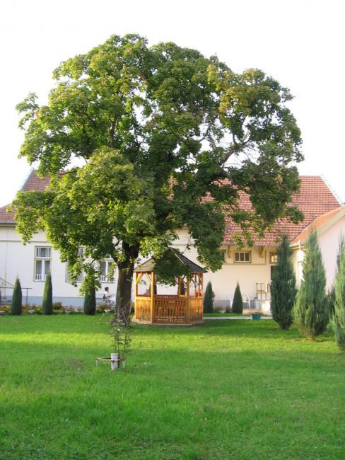 A Református Szeretetotthon képekben