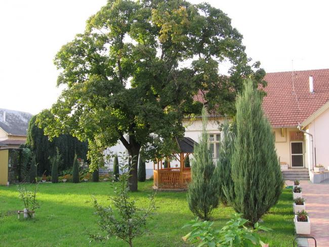 A Református Szeretetotthon képekben